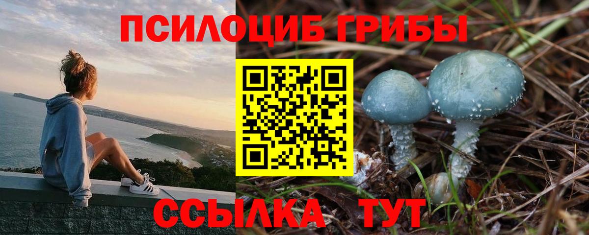 Гагарин  как найти   Вход с VPN  Галлюциногенные грибы MAGIC MUSHROOMS 
